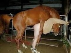 Horse fuck woman porn